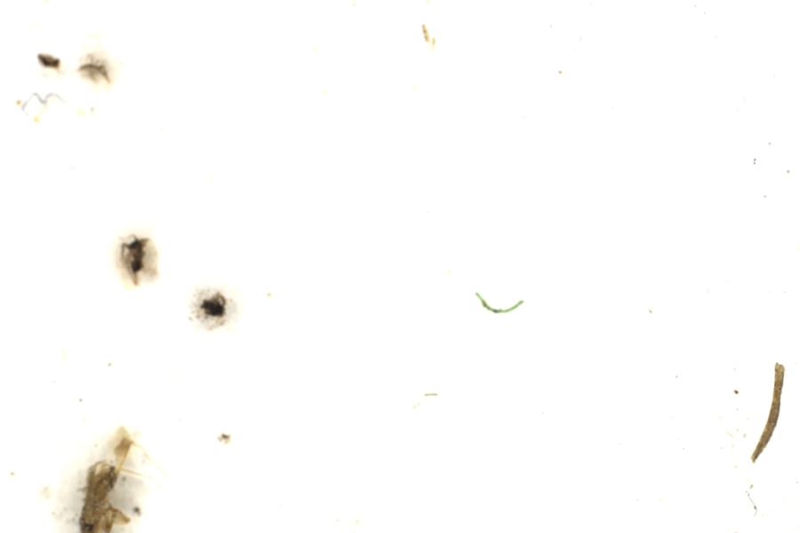 Image 215